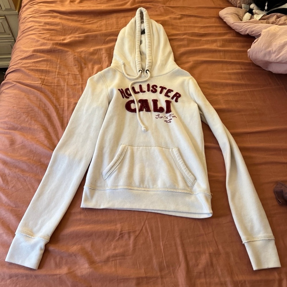 Hollister Cali Surf n Fun Hoodie